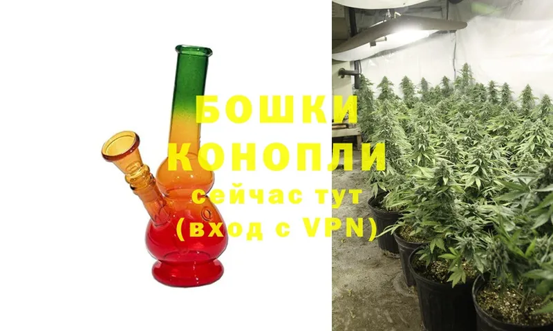 купить  цена  Сясьстрой  Бошки марихуана Ganja 